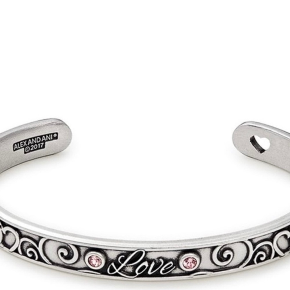 NWT Alex and Ani Swarovski Crystal EmbellishedBracelet